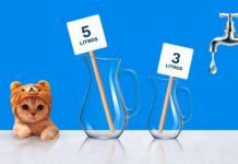 Pistacchio se vuelca a la bebida